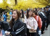 Đề xuất 2 phương án nghỉ Tết Nguyên đán Tân Sửu 2021