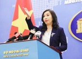 Việt Nam sẵn sàng đưa công dân từ vùng dịch về nước