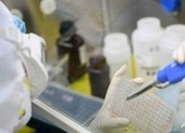 6 tháng nữa có vaccine ngừa virus Corona?