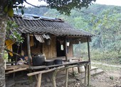 Nhiều người ở miền núi Quảng Bình vào rừng trốn dịch COVID-19