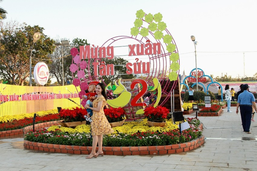 Ngắm vườn hoa xuân Tân Sửu 2021 đặc sắc tại Ninh Thuận  ảnh 2