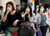 Singapore bụi mù vì tro cháy rừng Indonesia