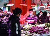 14% người xuất viện ở Quảng Đông dương tính lại với COVID-19