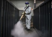 COVID-19 Mỹ: 21 ca chết, 534 ca nhiễm, ông Trump lên tiếng