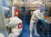 Viện Virus Vũ Hán nghiên cứu chủng Corona mới từ năm 2018?