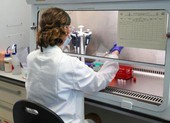 Vaccine COVID-19: Tới giai đoạn thử nghiệm cuối cùng ở người
