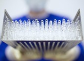 Gần 1/2 dân số Nga không muốn tiêm vaccine COVID-19