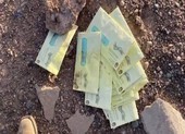 Arizona: Phát hiện nhiều phiếu bầu qua thư nghi bị đánh cắp