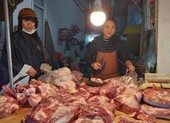 Vì sao giá heo chưa giảm sâu?