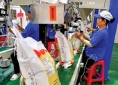 Trung Quốc tiếp tục tăng mua, gạo Việt bán được giá cao