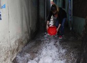 Bình Dương: 40 ha hoa màu và lúa ngập sâu sau trận mưa lớn