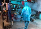 TP.HCM xử phạt hơn 1.000 trường hợp cố tình 'nuôi' lăng quăng