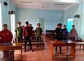 Thanh niên trộm 1 con chó lãnh 7 tháng tù