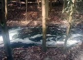 Trại heo xả thải ra nguồn cung cấp nước cho nhà máy La Gi