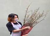 Hoa cắm cành độc, lạ hút khách TP.HCM