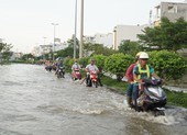 TP.HCM ra chỉ đạo chống triều cường dịp tết Canh Tý