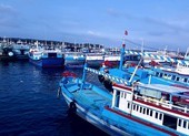 Đảo Phú Quý có 3 ca nghi nhiễm đầu tiên từ một thuyền viên