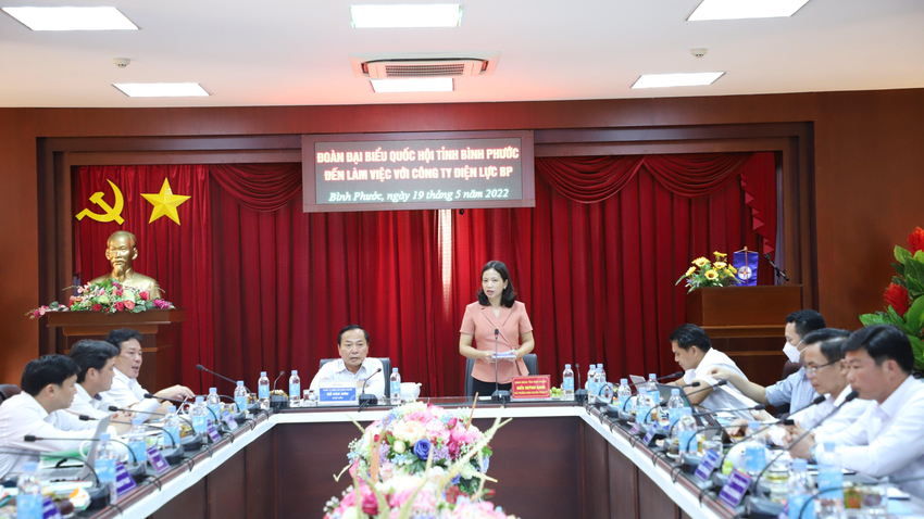 Đoàn Đại biểu Quốc hội tại các tỉnh phía Nam ghi nhận đóng góp của ngành điện ảnh 1
