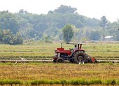 Ông Nguyễn Thành Phong làm Trưởng ban chỉ đạo phát triển 5 huyện thành quận