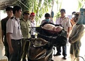 Dịch tả heo châu Phi xuất hiện tại TP Đà Nẵng