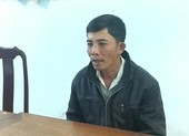 Người trồng 2.000 m2 cần sa khai là để cho gà ăn