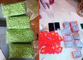 Con rể, con nuôi phụ mẹ vận chuyển, buôn bán ma túy