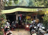 Một người ở Quảng Nam bị ong chích tử vong