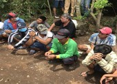 An Giang: Hàng chục người tụ tập đá gà bất chấp dịch COVID-19