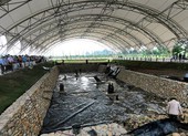 Chưa rõ nguồn gốc hai bãi cọc Cao Quỳ, Đầm Thượng