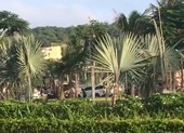 Hai nhóm giang hồ ở Hải Phòng hỗn chiến, 3 người thương vong