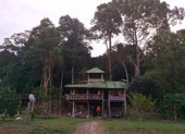 Bí ẩn cung đường đến vương quốc cá sấu giữa rừng Cát Tiên
