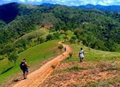 Chưa tiếp cận thi thể nghi của phượt thủ mất tích ở Tà Năng