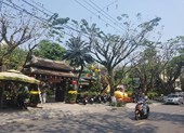 Đà Nẵng sai phạm hàng loạt khi bán đất vàng