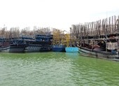 930 tấn mực khô ứ đọng vì Trung Quốc không mua