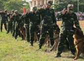 Chùm ảnh biểu diễn võ thuật đầy uy dũng của Bộ đội biên phòng