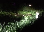 2 bé gái trượt chân, 1 cháu may mắn khi bám được lục bình