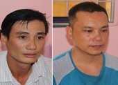 Anh vợ và em rể rủ nhau đi trộm mai