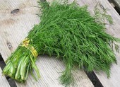 Loại rau giúp giảm lượng đường trong máu và chống ung thư