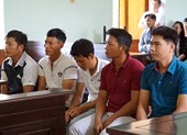 Vụ cưa cây rừng: Phó chánh án Tòa Tối cao đã nhầm