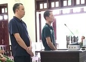 Vận chuyển khẩu trang trái phép qua biên giới, tội gì?