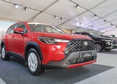 Ô tô giá từ 400 triệu đồng nhập khẩu về VN tăng mạnh