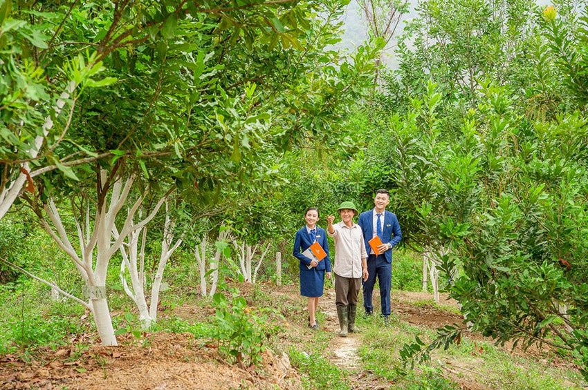 Nông nghiệp, bảo hiểm “chắp cánh” thương hiệu LienVietPostBank ảnh 1