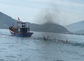 Thuyền câu mực va chạm với tàu cá làm 1 người chết, 1 mất tích