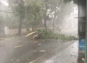 1 chuyên viên phòng GD&ĐT tử vong do bão số 5