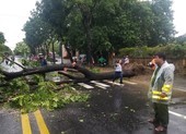 1 người ở Huế tử vong khi gia cố nhà chống bão số 5