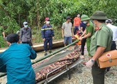 Đưa thi thể 1 công nhân thủy điện Rào Trăng 3 ra ngoài