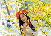 Ứng dụng cảnh báo thời tiết khi đi chơi tết