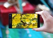 2 cách mang không khí Tết lên smartphone