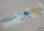 Cách kiểm tra giấy phép lái xe là thật hay giả bằng điện thoại