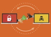 Google cảnh báo mã độc tống tiền tại Việt Nam đang tăng 200%